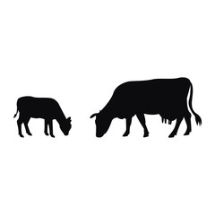 Silhouettes of caw and baby cow in isolated on white