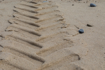 Fototapeta na wymiar Driving on a sandy beach: tracks left behind