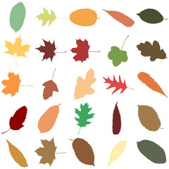 Fototapeta premium Sammlung bunter Herbstblätter als nahtloses Muster