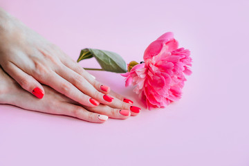 Obraz na płótnie Canvas Creative bright trendy summer manicure with nails of different color. Female hands with art nail design on pink background and fuchsia peony flower.