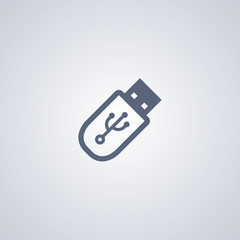 Flash drive icon