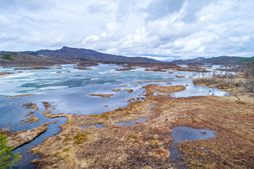 The moor landscape of Senja