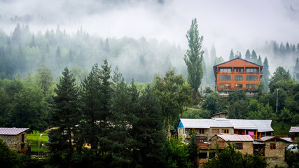 Stylish wooden house among forest in the fog, Mestia, Georgia
