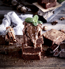 Square pieces of chocolate cake