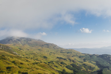 Forested mountain slope in low lying cloud with the evergreen conifers shrouded in mist in a scenic landscape view