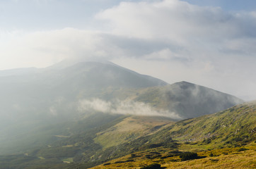 Forested mountain slope in low lying cloud with the evergreen conifers shrouded in mist in a scenic landscape view