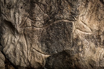 Cows on stone, petroglyph art. Exposition of Petroglyphs in Gobustan near Baku, Azerbaijan.