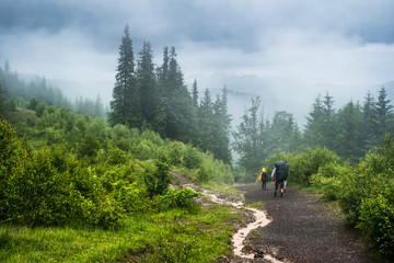 Couple of tourists going on a forest path in the fog in rainy wether