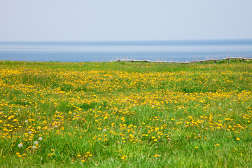 北海道　能取岬