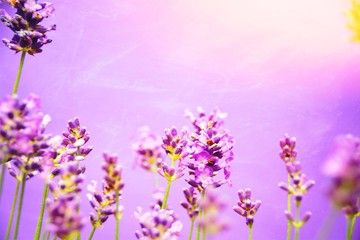 Fototapeta na wymiar Wellness - Auszeit - Lavendel