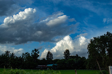 The beauty of the sky and trees.