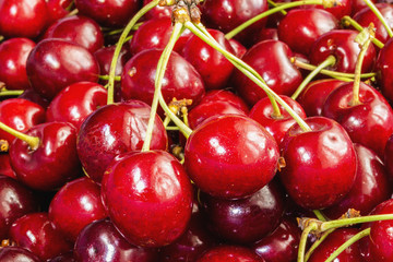 Cherry many berries background