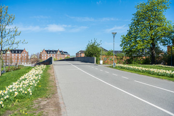 empty road and bridge, beautiful blossoming daffodils and historical architecture in copenhagen, denmark