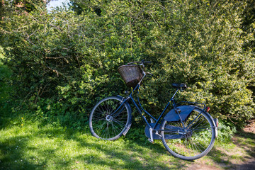 Fototapeta na wymiar bicycle with basket parked near beautiful green bushes in park