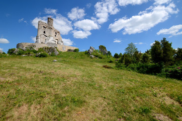 Fototapeta na wymiar Mirow castle in Poland