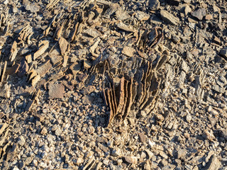 View of Desert Landscape Moon landscape Namibia