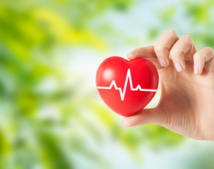 health, medicine, people and cardiology concept - close up of hand holding small red heart with cardiogram over green natural background