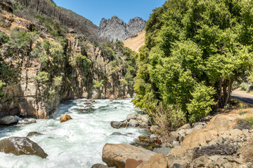 Scenic river Sequoia National park