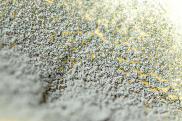 Backgrounds of Penicillium, ascomycetous in petri dish for well as food and drug production.