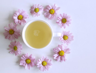 Cup of coffee with pink Leucanthemum flowers. Flat lay, top view.Empty space for your text.
