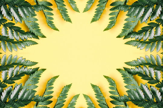 Tropical leaves on yellow background. Minimal concept. Summer background. Flat lay, top view, copy space 