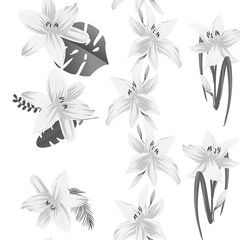 Seamless flower garder liliya pattern. Botany flora decoration. Vector drawing.