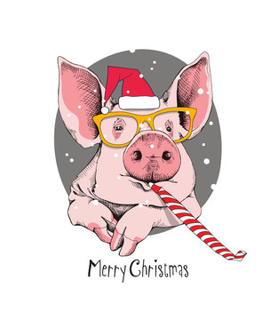 Christmas card. Portrait of the pink Pig in a red Santa's cap, yellow glasses and with a funny party whistle blowing on a gray background. Vector illustration. 