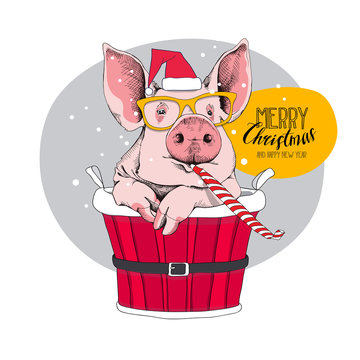 Christmas card. Portrait of the pink Pig in a red Santa's cap, yellow glasses and with a funny party whistle blowing inside of a bucket. Vector illustration. 