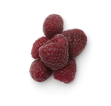 conjunto de franbuesa