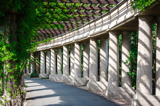 Half Ellipse Images Browse 4 Stock Photos Vectors and Video Adobe Half Ellipse Images Browse 4 Stock Photos Vectors and Video Adobe