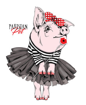 Pig in a striped cardigan, in a black tutu skirt, in a red polka dot headband and with a Lips Photo Booth. Vector illustration.