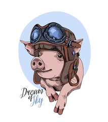 Funny Pig in a retro leather aviator helmet on a blue background. Vector illustration.