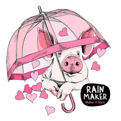 Card of a Valentine's Day. Pig with a transparent pink umbrella and with a rain of hearts. Vector illustration.