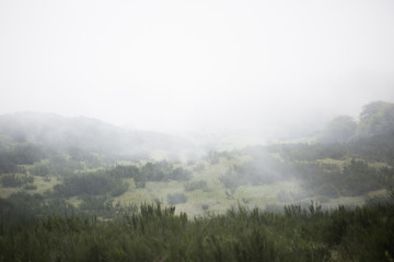 Obraz na płótnie Canvas Foggy Landscape