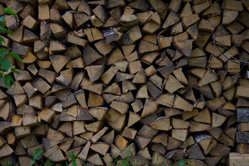 texture of trees in the village