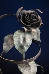 The broze rose with a tape made of metal, on dark-blue background.