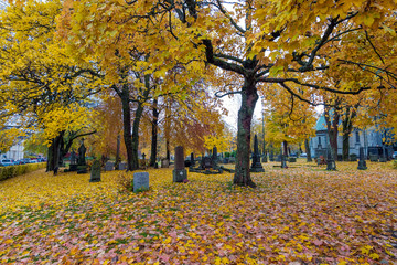 Cemetery next to Nidaros Cathedral during a day, Trondheim, Norway