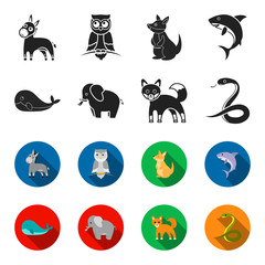 Whale, elephant,snake, fox.Animal set collection icons in black,flet style vector symbol stock illustration web. © pandavector