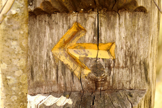 Arrow carved in tree