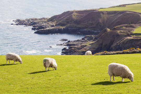Spring panorama of Isle of Man