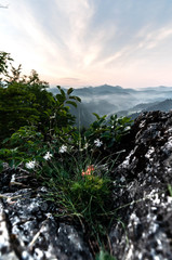 Wsch&oacute;d słońca, widok na skały.