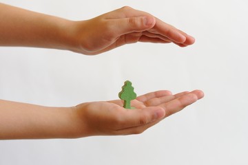 Hands and a symbol plant isolated on white background. Concept conservation of the environment, environmental protection.