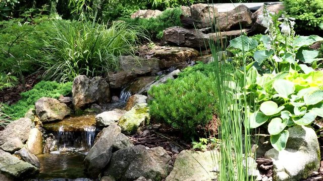 Garden waterfall. Garden pond with water flowers. Beautiful pond in a backyard surrounded with stone during. 