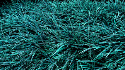 tropical glowing leaves.