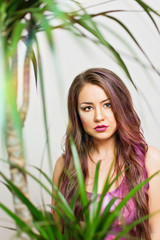 Fototapeta premium Young woman with makeup and long brown and pink hair posing among palm tree leaves. Closeup studio portrait, retouched.