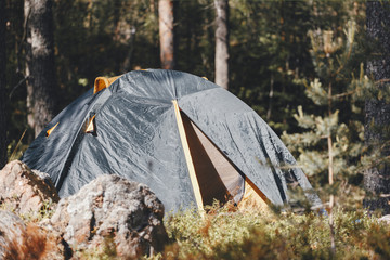 Tent in the pine forest. Concept: tourism, rest in the forest