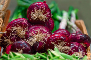 Red onion bulbs are on the market