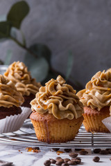 Fresh baked homemade cupcakes with coffee buttercream and caramel standing on cooling rack with eucalyptus branch and coffee beans above over white marble kitchen table. Close up