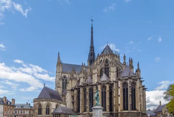 Tissu par mètre Monument Amiens Cathedral, France