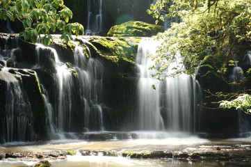New Zealand. Waterfall in the forest
